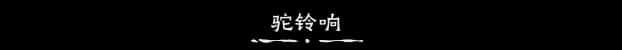 视觉数据1